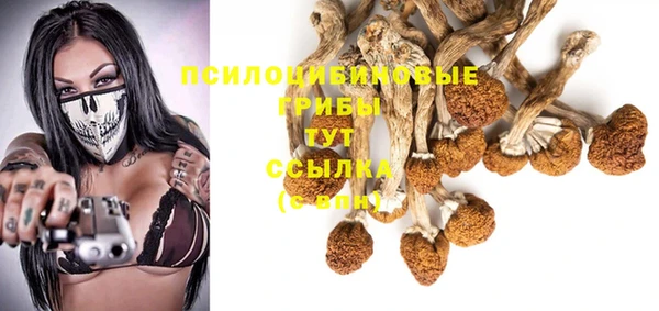 МДМА Арсеньев