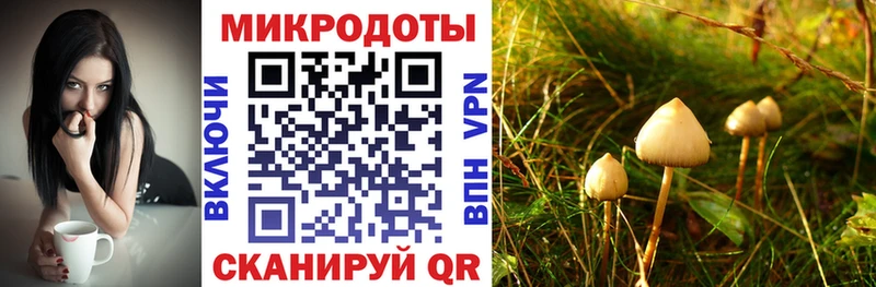 Псилоцибиновые грибы GOLDEN TEACHER  даркнет сайт  Сольвычегодск 