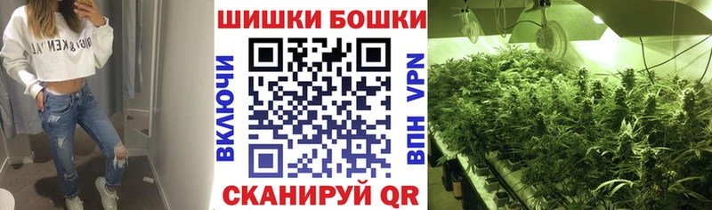 Марихуана планчик  Сольвычегодск 